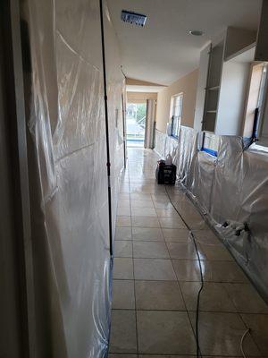 Mold Remediation - Naples, FL