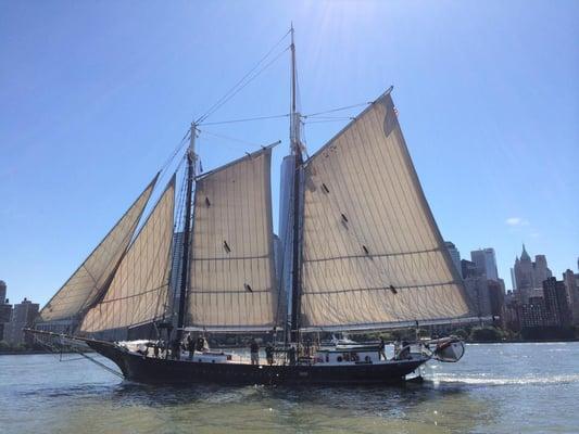 Pioneer under all plain sail in New York harbor.  Gorgeous day for a sail!