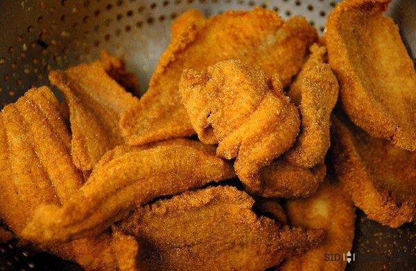 Fried Catfish AKA Yankee Catfish