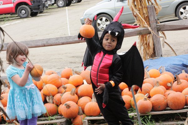 My son and a friend picking out pumpkins.