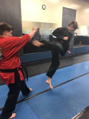 Martial arts training