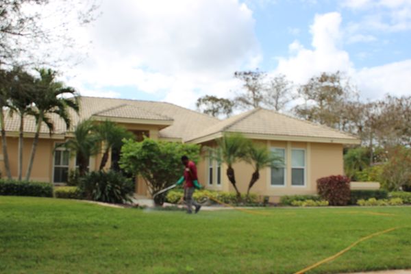 Raheem spraying lawn to keep weeds and bugs away.