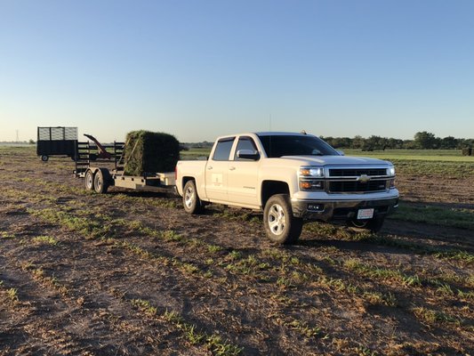 Hauling sod