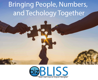 bizBLISS: Bringing People, Numbers, and Technology Together