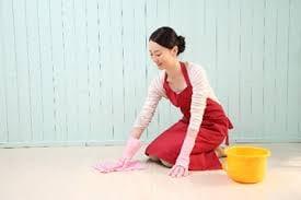 American House Cleaner Inc. is a family like atmosphere. We provide Green House cleaning.