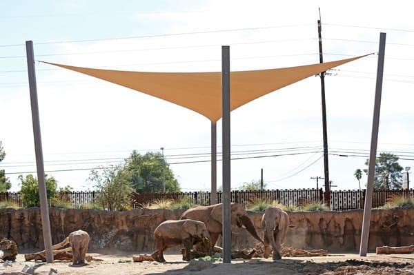 Reid Park Zoo Elephant Exhibit, Tucson, AZ