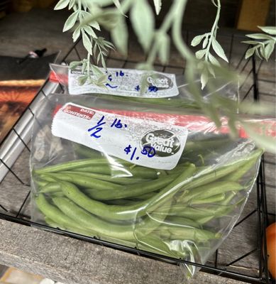 Beautiful green beans!