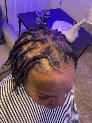 Adult Loc retwist