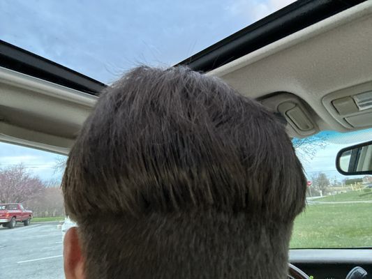 Back of my head, post-cut.