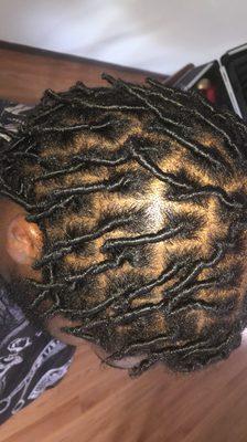 Starter locs with nice parts