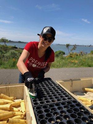 Hard at work volunteering at Volunteer Event at the Martin Luther King Jr. Regional Shoreline for Save the Bay!