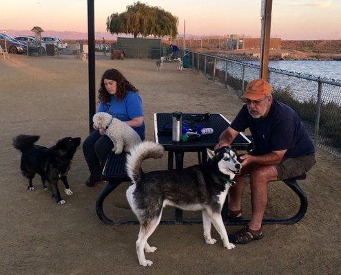 Looks no toward the South side of the dog park where the entrance is located.