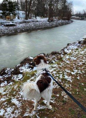 A long walk on the Erie Canal!