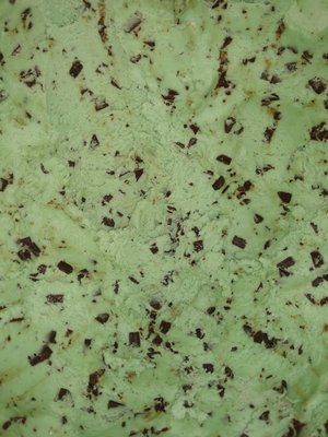 Mint Chocolate Chip Ice Cream