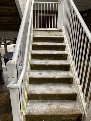 Here's the untreated stairs