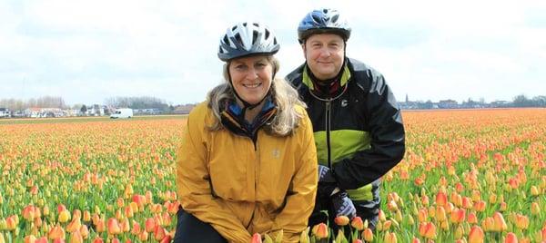 Enjoy the beauty of the world-renowned Dutch tulips