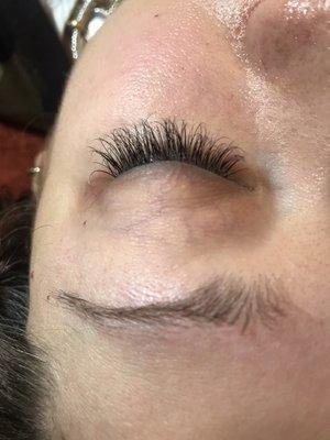 Hybrid lashes