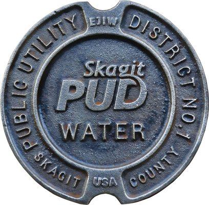 Public Utility District No 1 of Skagit County