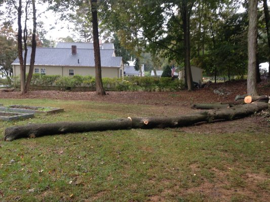 Facing neighbor's house, which had been threatened by a couple trees. Zumalt hauled away the logs a few days later.