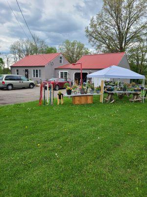 Mansfield Microgreens