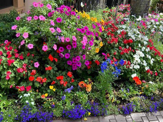 Beautiful floral garden, Inn on the Lakes