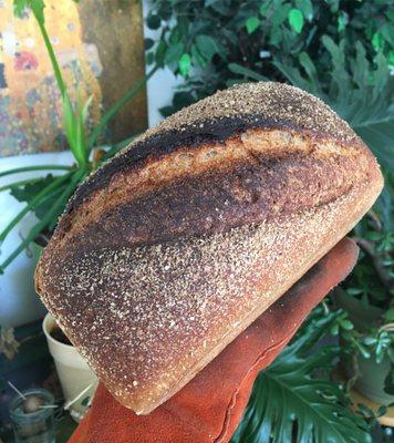 Mountain Mama - the 100% organic, completely unrefined, locally grown/milled/leavened/baked loaf.