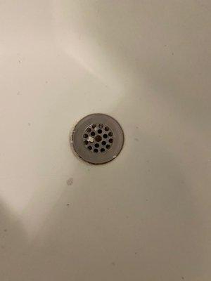 Nasty shower drain