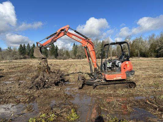 Excavation/stump removal