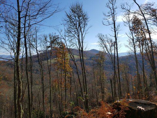 Cataloochee ranch