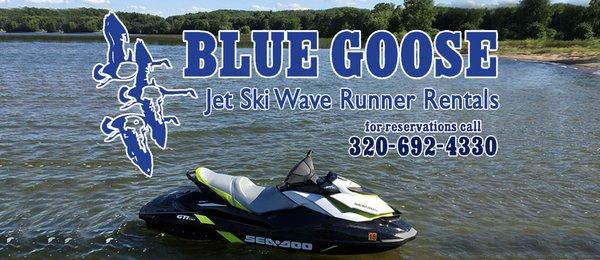 Blue Goose