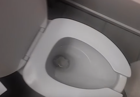 toilet won't flush