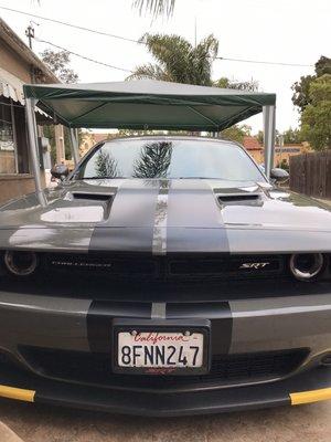 Bumper to bumper Racing stripes on this srt bumblebee