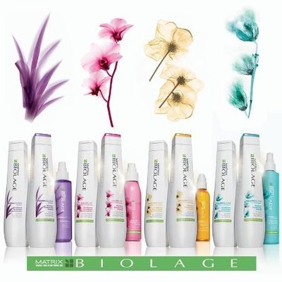 Full Line of Biolage products