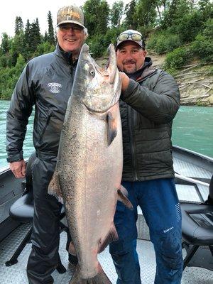 Giant kenai kings