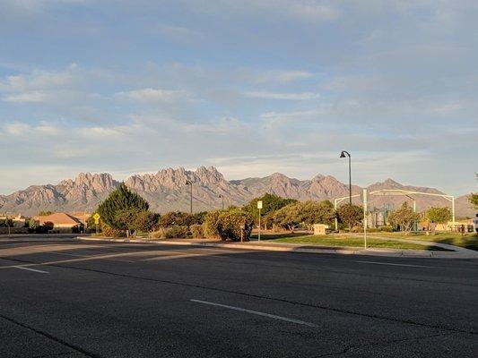 View of the Organ Mountains