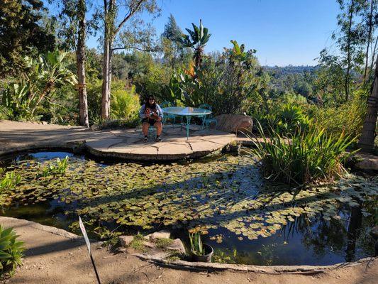 Alta Vista Botanical Gardens