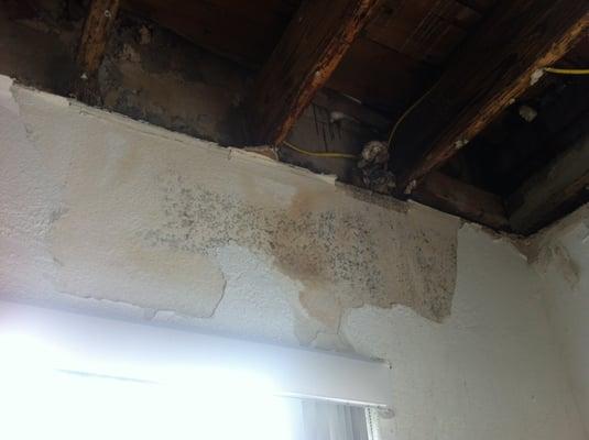 Damage from the "small leak" after my ceiling caved in.