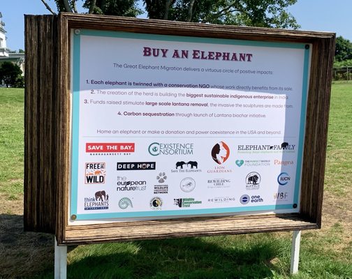 Buy an Elephant.