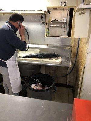 Getting the salmon ready to filet