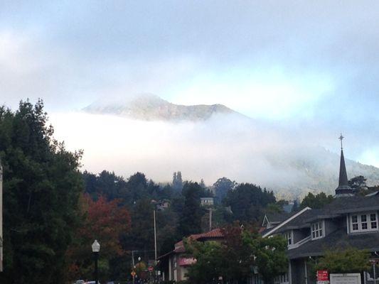 Street view, Mount Tamalpais