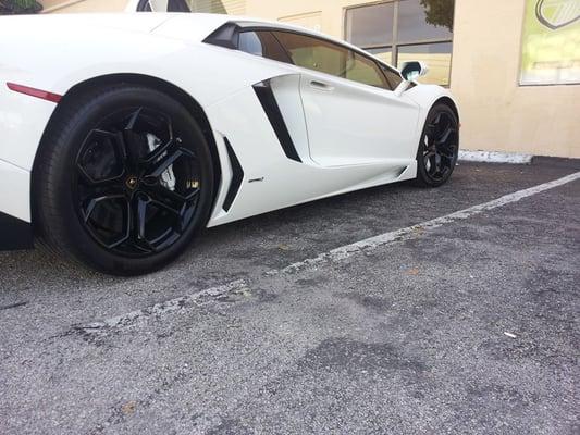 Lambo tint