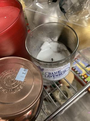 Yep, $3.99 for a barely there candle. That's the new normal here.