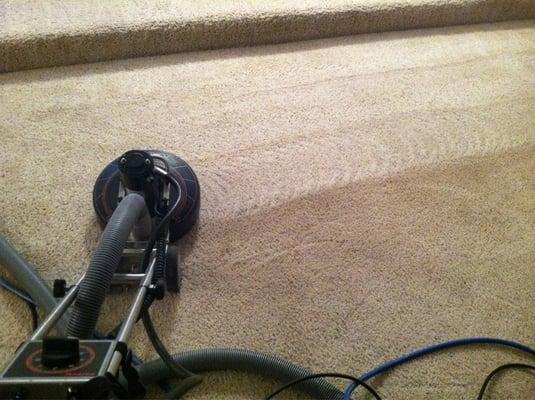 Scoobies Carpet Cleaning