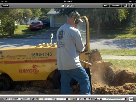 Argo Stump Removal