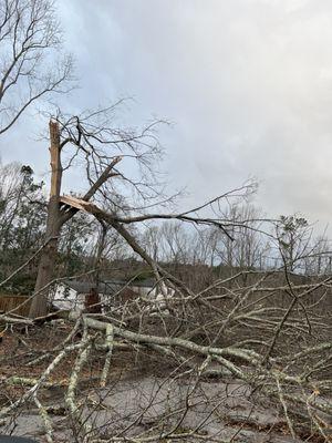 7 Brothers Tree Service And Lawn