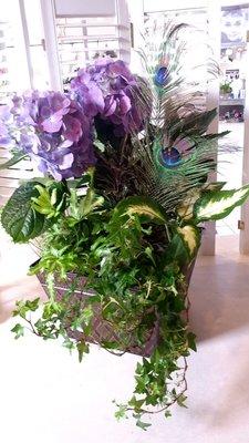 Beautiful planter with hydrangea and peacock feathers