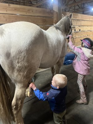 Students with lesson horses