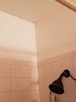 Where the ceiling meets the wall in the shower looks like this all around the shower.