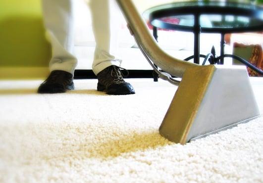 Professional Carpet Maintenance