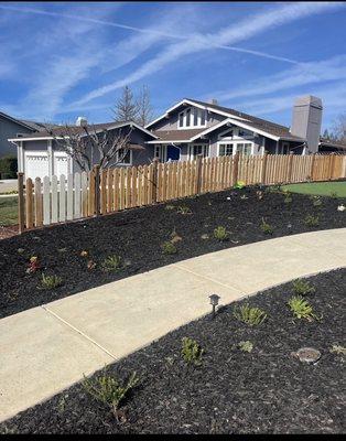 A very beautiful stamped concrete walkway with plants around and black mulch!